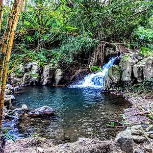 Hamakua Gasthof Pepeekeo